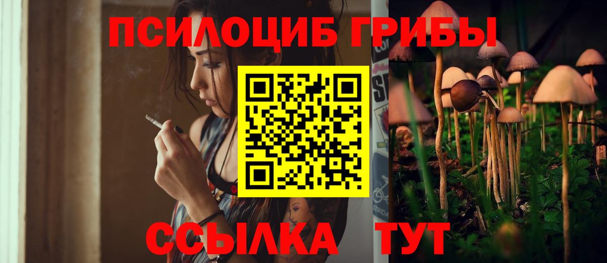 Галлюциногенные грибы GOLDEN TEACHER  Вход с VPN  Галлюциногенные грибы ЛСД  Казань 